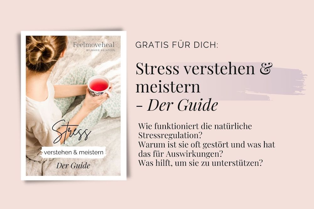 Stressregulations-Guide